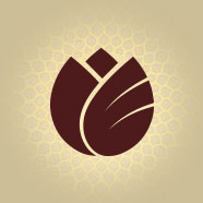 241