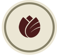 dm icon